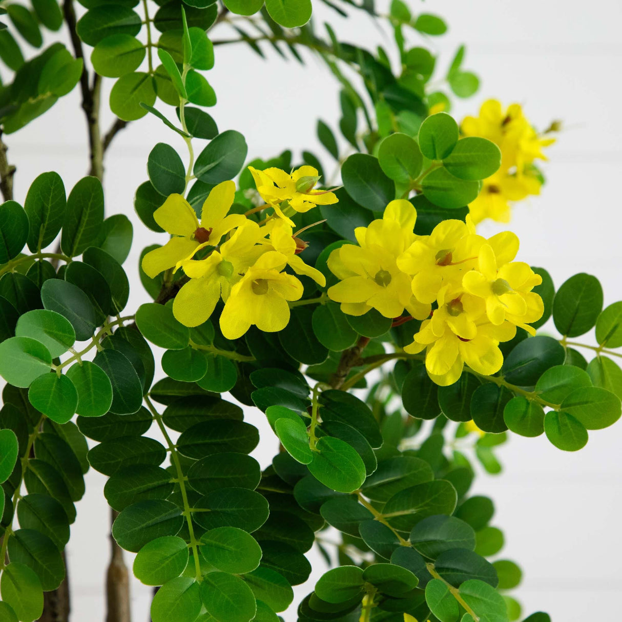 Artificial 6’ Flowering Citrus Tree with Real Touch Leaves from Nearly Natural