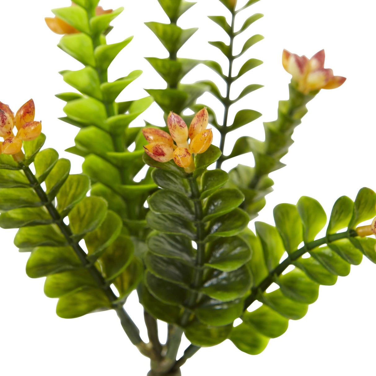 Flowering 9” Sedum Artificial Plant (Set of 6) from Nearly Natural