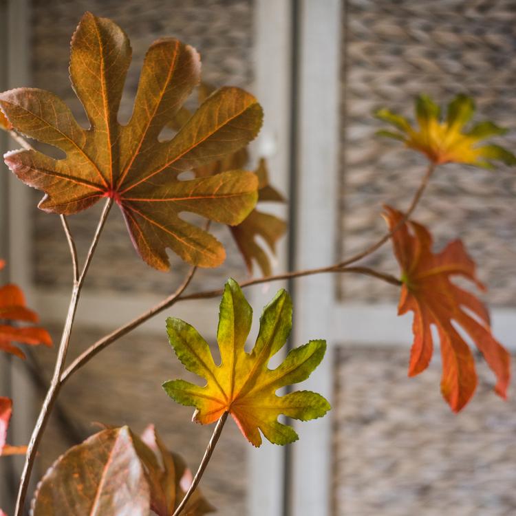 Artificial Fatsia Leaf in Autumn Red 32" Tall Faux From Rustic Reach