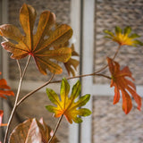 Artificial Fatsia Leaf in Autumn Red 32" Tall Faux From Rustic Reach