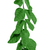 Artificial Magnolia Leaf Garland from Lee Display