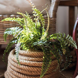 Artificial Faux Plant Big Rock Fern Stem 22" Tall From Rustic Reach