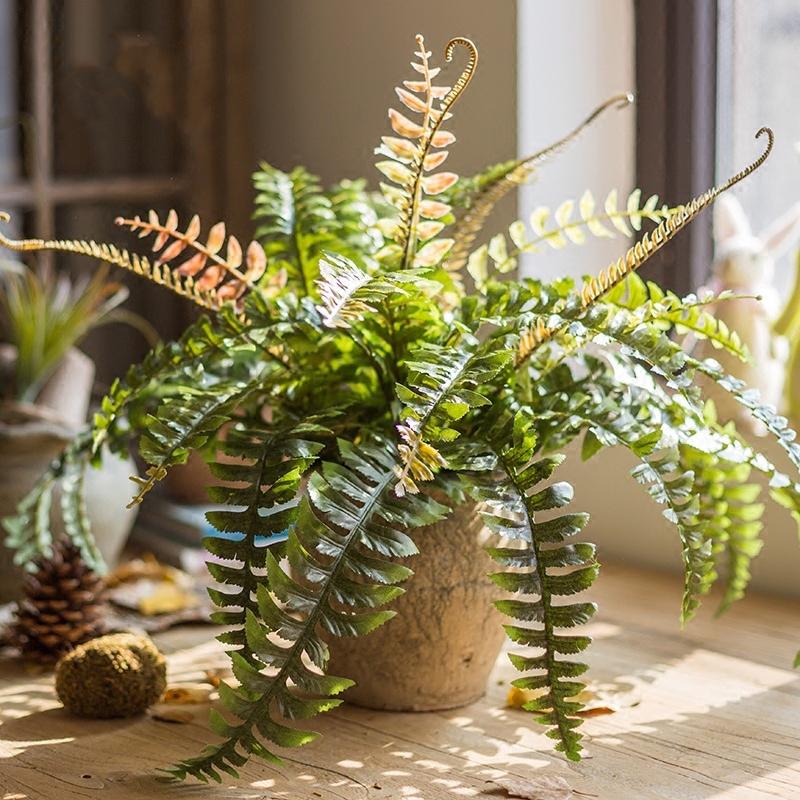 Artificial Faux Plant Big Rock Fern Stem 22" Tall From Rustic Reach