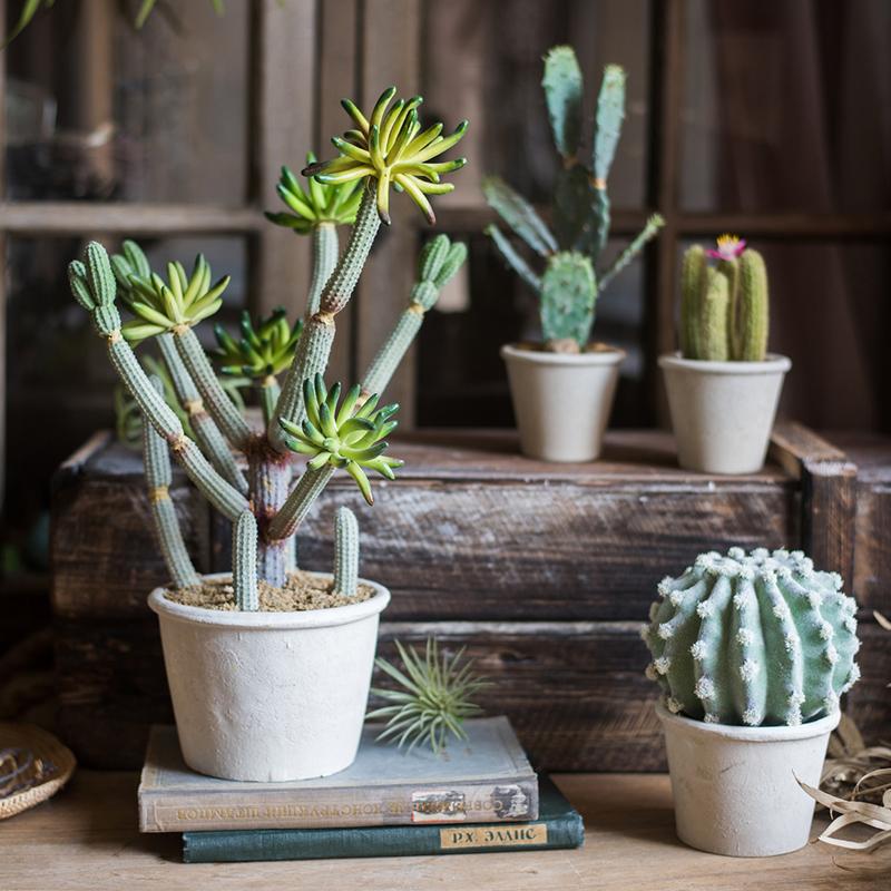 Artificial Faux Cactus Plant Bonsai Potted From Rustic Reach