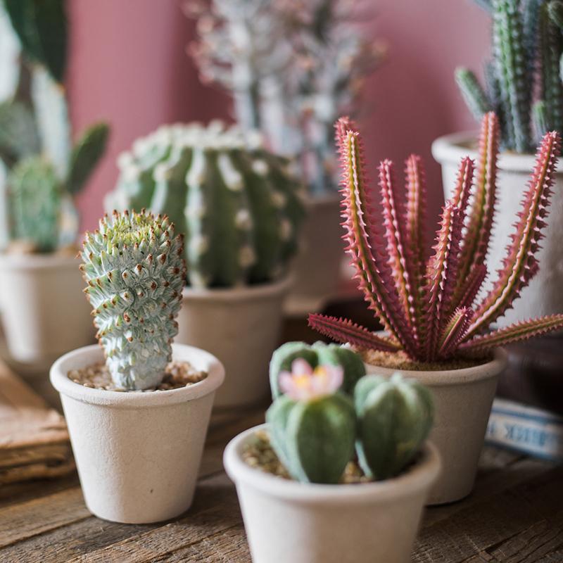 Artificial Faux Cactus Plant Bonsai Potted From Rustic Reach