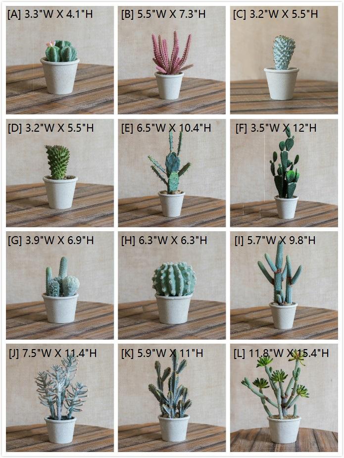 Artificial Faux Cactus Plant Bonsai Potted From Rustic Reach