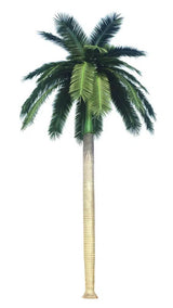 Tall Artificial Royal Palm Tree (13ft - 23ft) UV Resistant (10-12 Week Back Order) from Designer Plants USA
