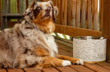 Terrazzo Modern Elevated Dog Bowl from Pet Junkie