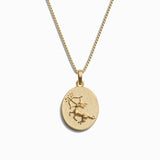Zodiac Goddess Necklace From Awe Inspired
