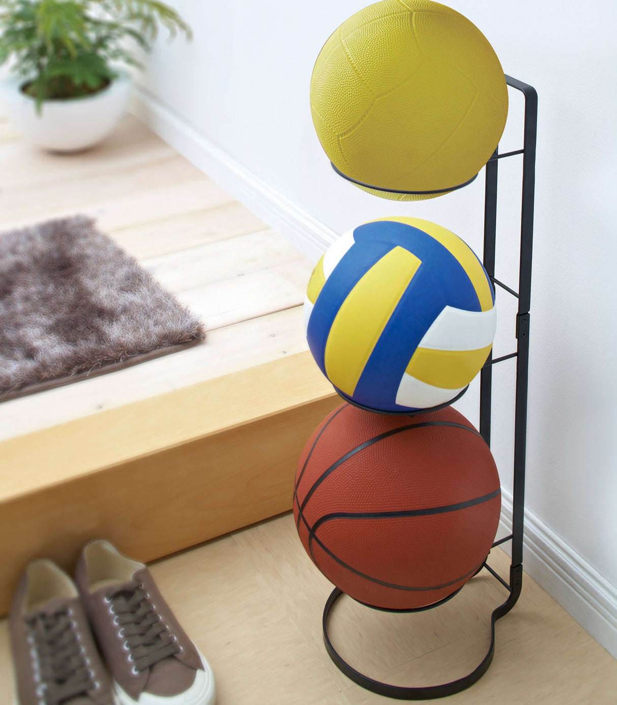 Sports Ball Stand - Steel from Yamazaki Home
