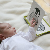 Little Naturalist Gift Set - Black + White From Wee Gallery
