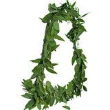 Bay Leaf Hanging Heart Wreath from Lee Display