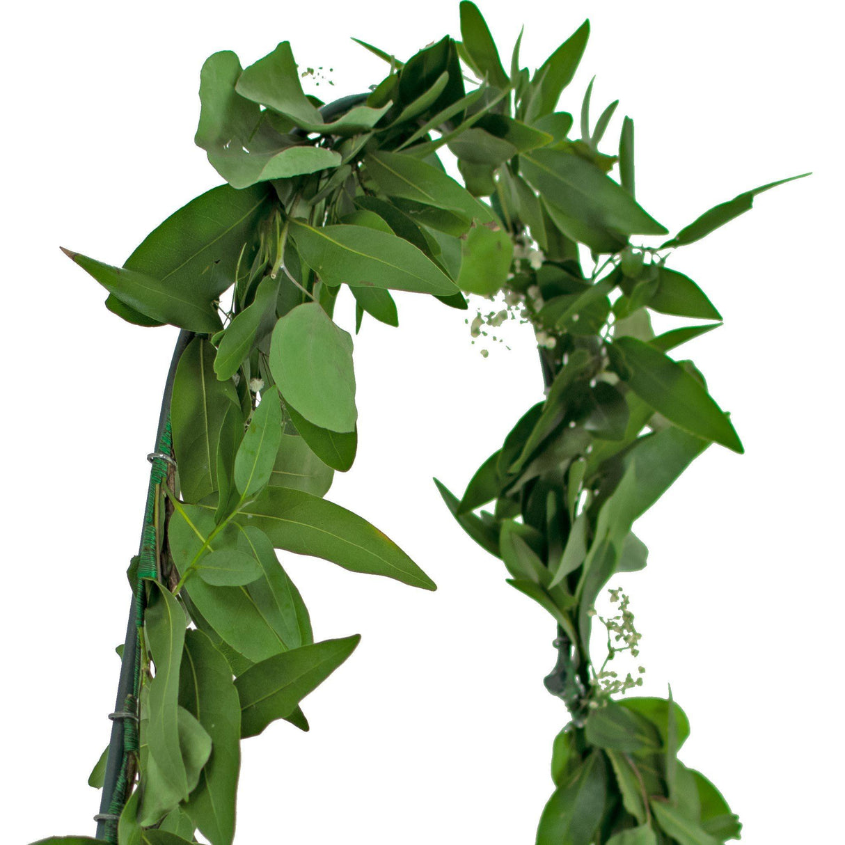 Bay Leaf Hanging Heart Wreath from Lee Display