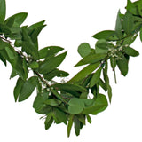 Bay Leaf Hanging Heart Wreath from Lee Display