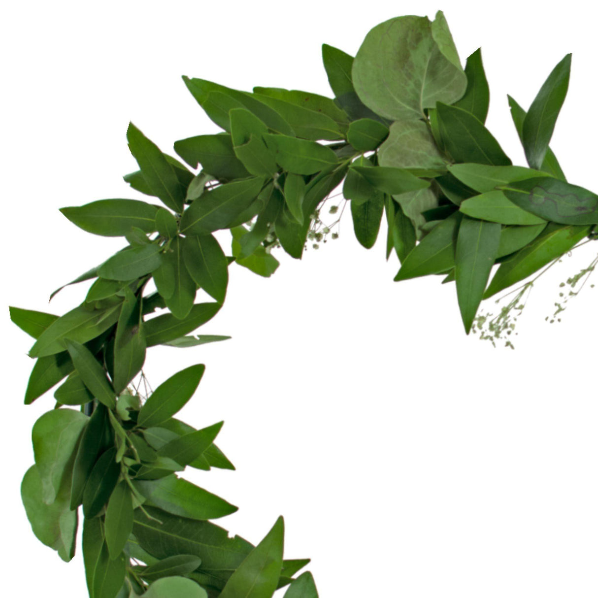 Bay Leaf Hanging Heart Wreath from Lee Display