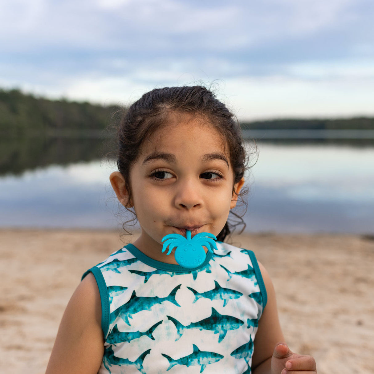 Foodie Picks from BapronBaby