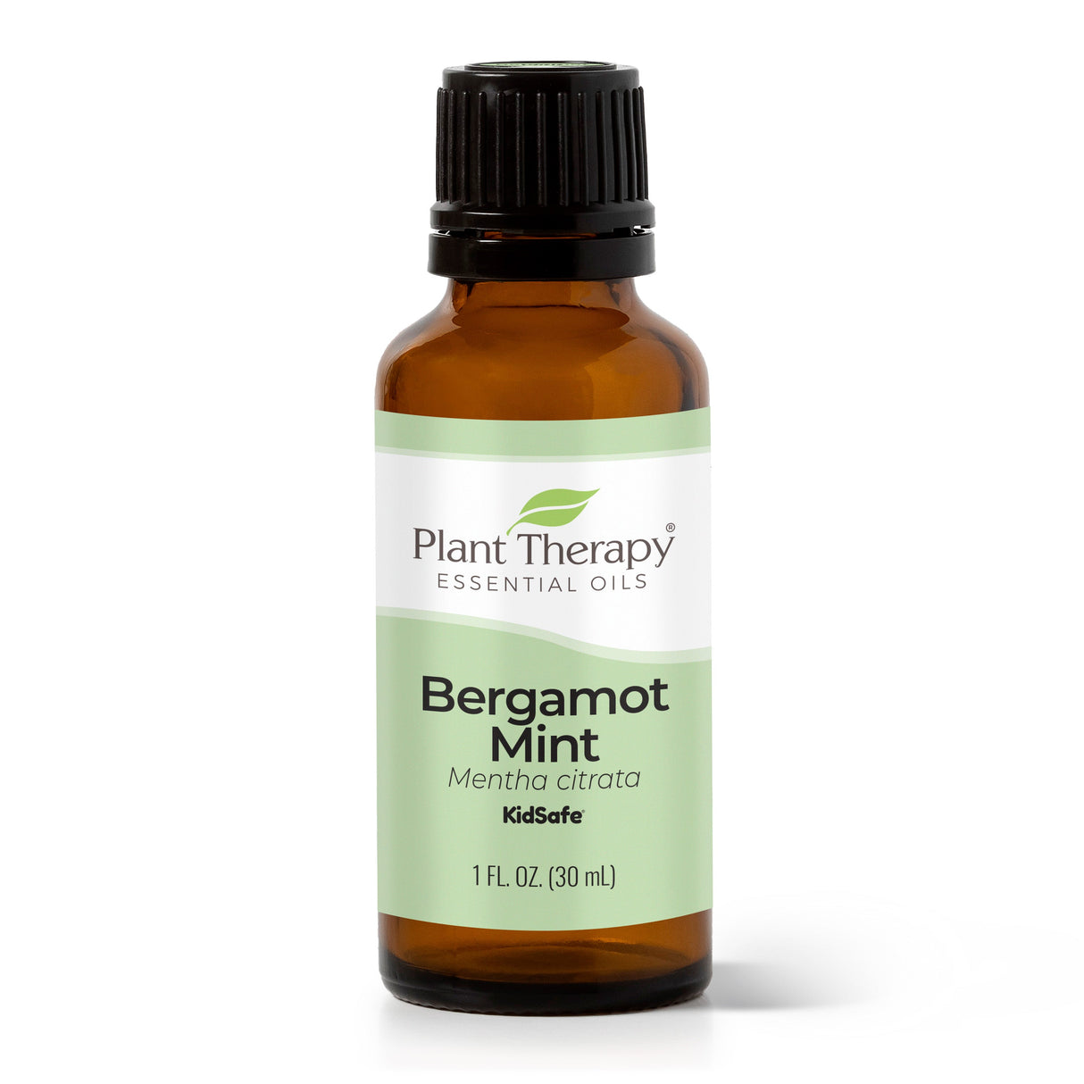 Bergamot Mint Essential Oil From Plant Therapy