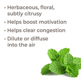 Bergamot Mint Essential Oil From Plant Therapy