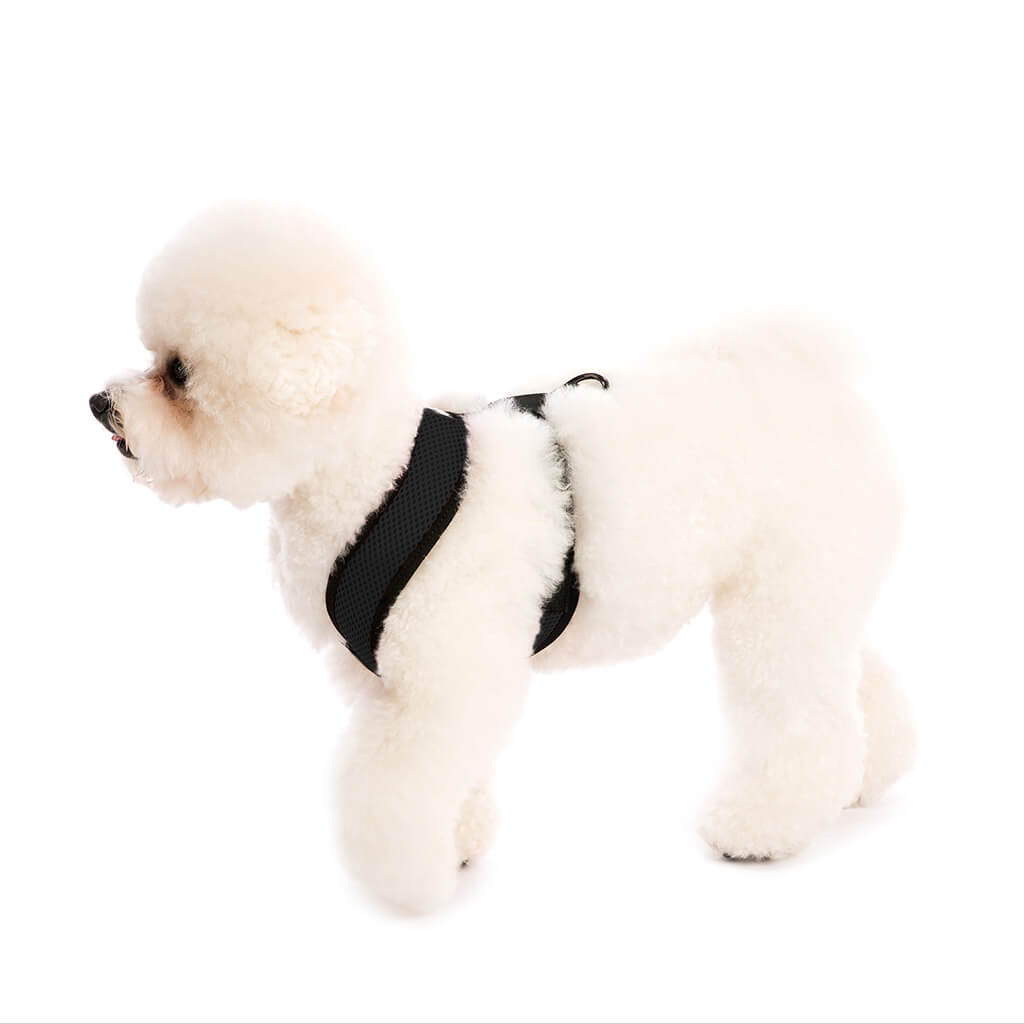Comfort X Harness from Gooby