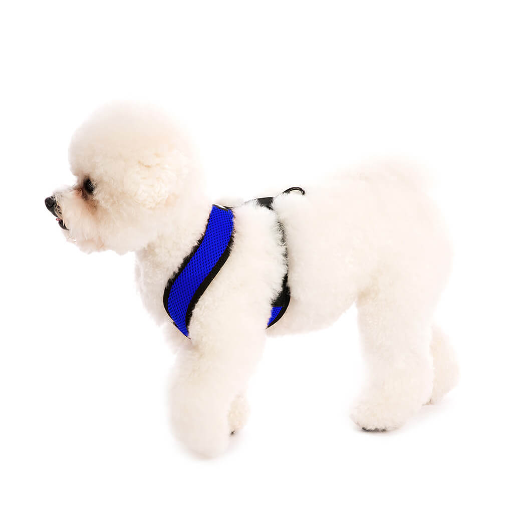 Comfort X Harness from Gooby