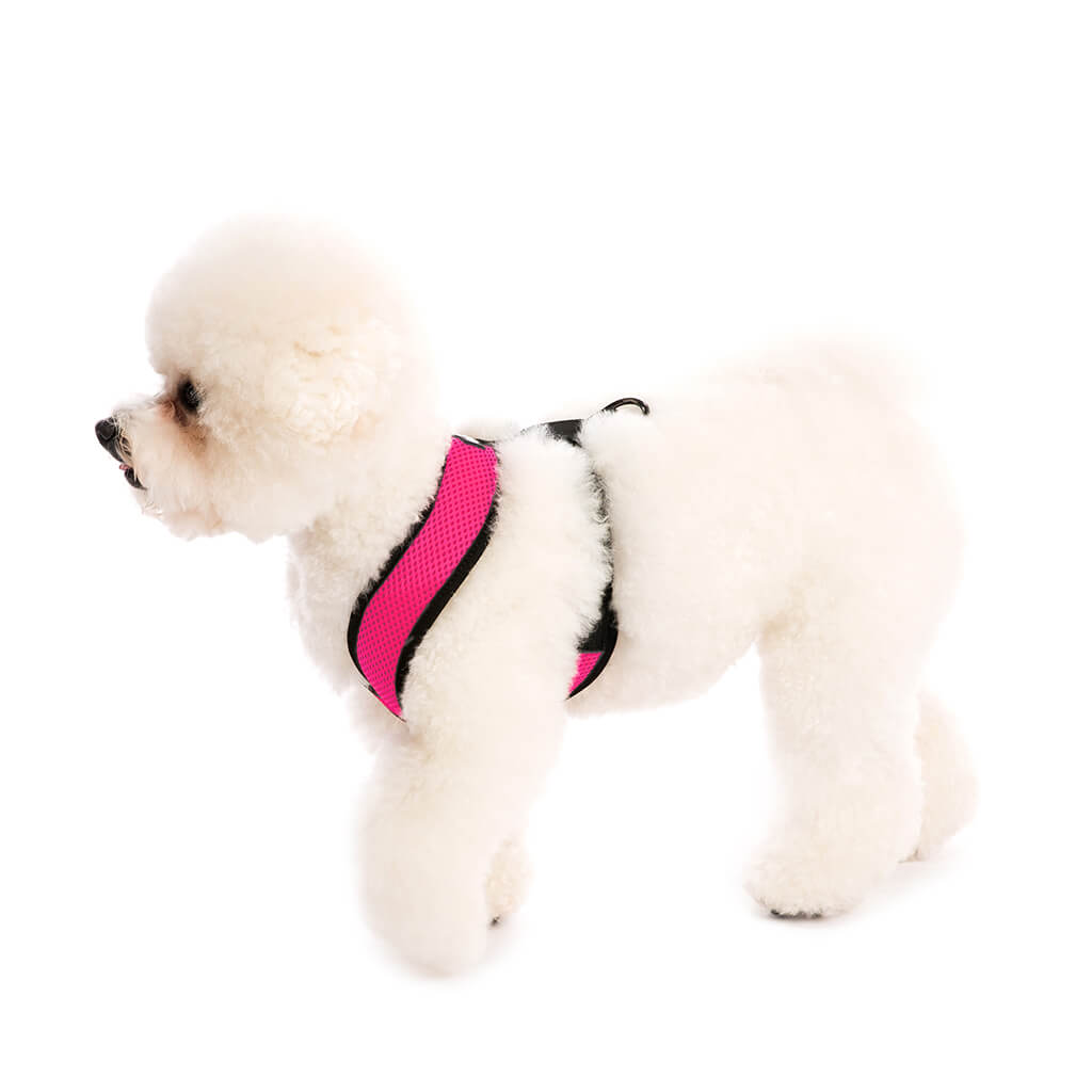 Comfort X Harness from Gooby