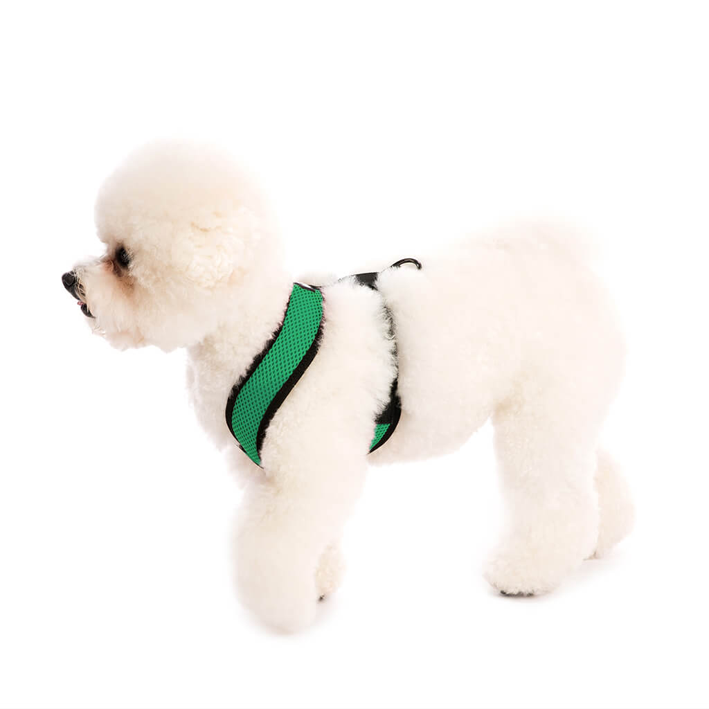 Comfort X Harness from Gooby