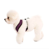 Comfort X Harness from Gooby