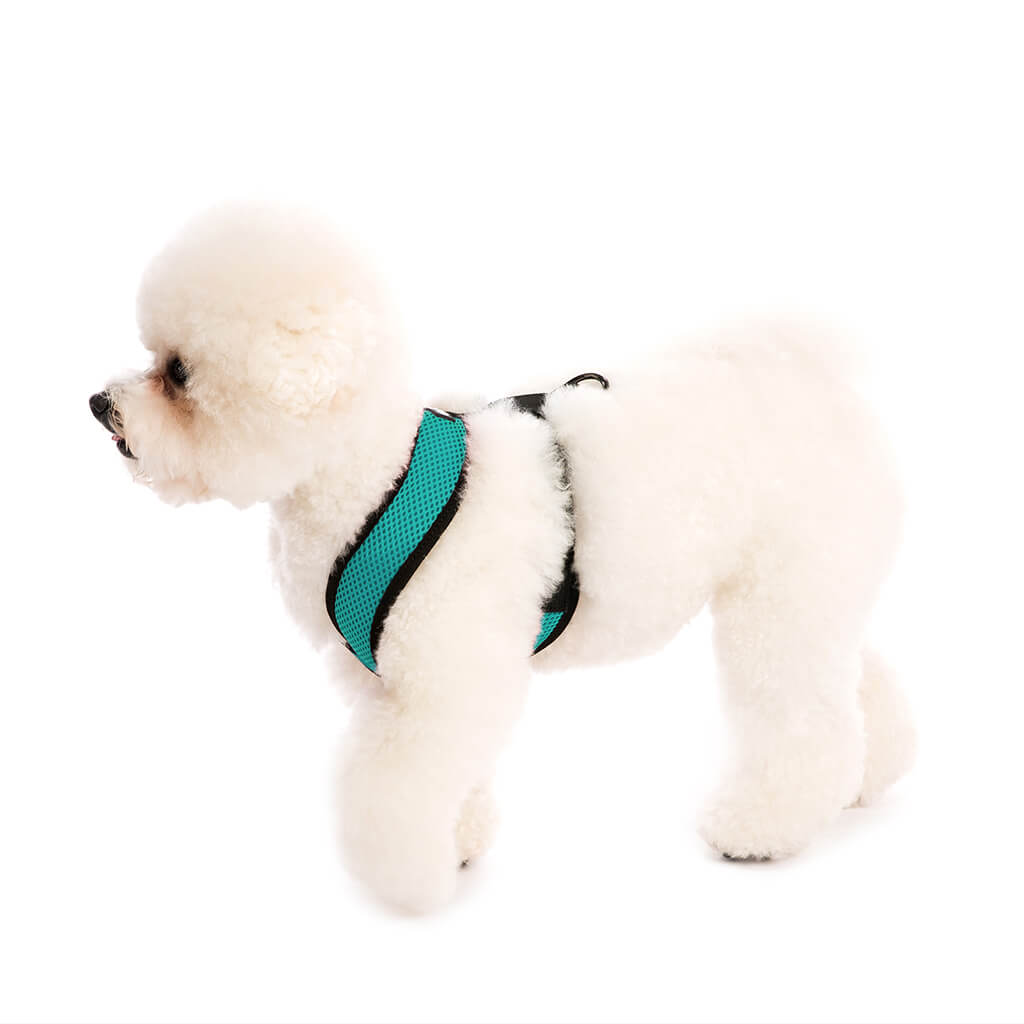 Comfort X Harness from Gooby