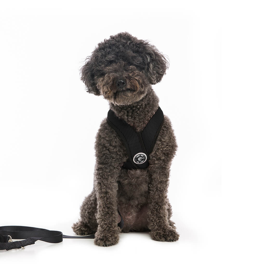 Comfort X Harness from Gooby
