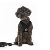 Comfort X Harness from Gooby