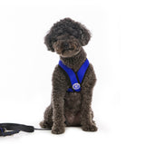 Comfort X Harness from Gooby
