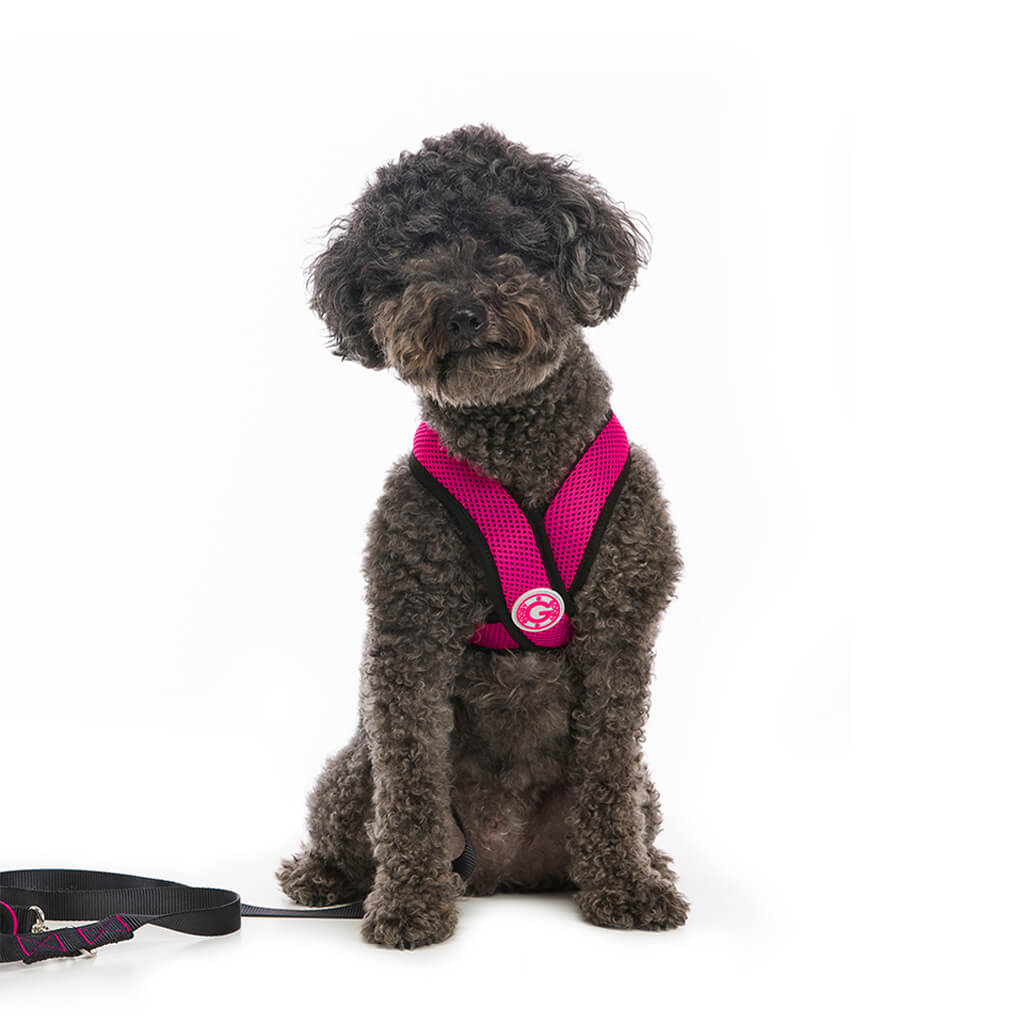 Comfort X Harness from Gooby