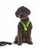 Comfort X Harness from Gooby