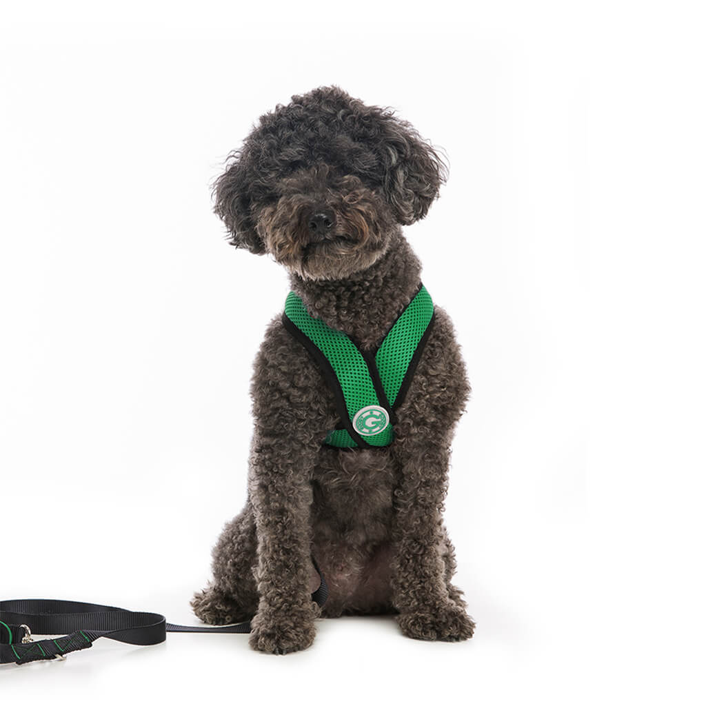 Comfort X Harness from Gooby