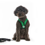 Comfort X Harness from Gooby
