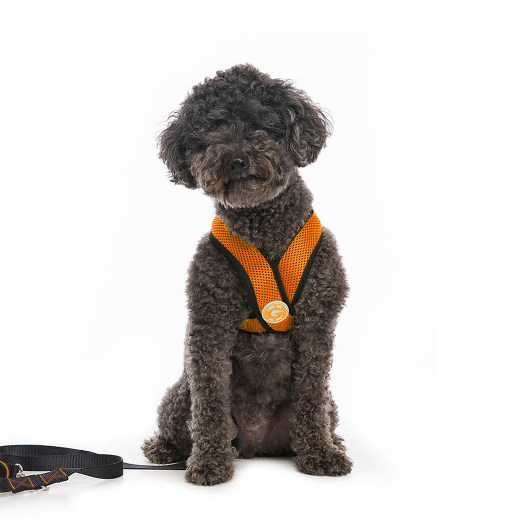 Comfort X Harness from Gooby