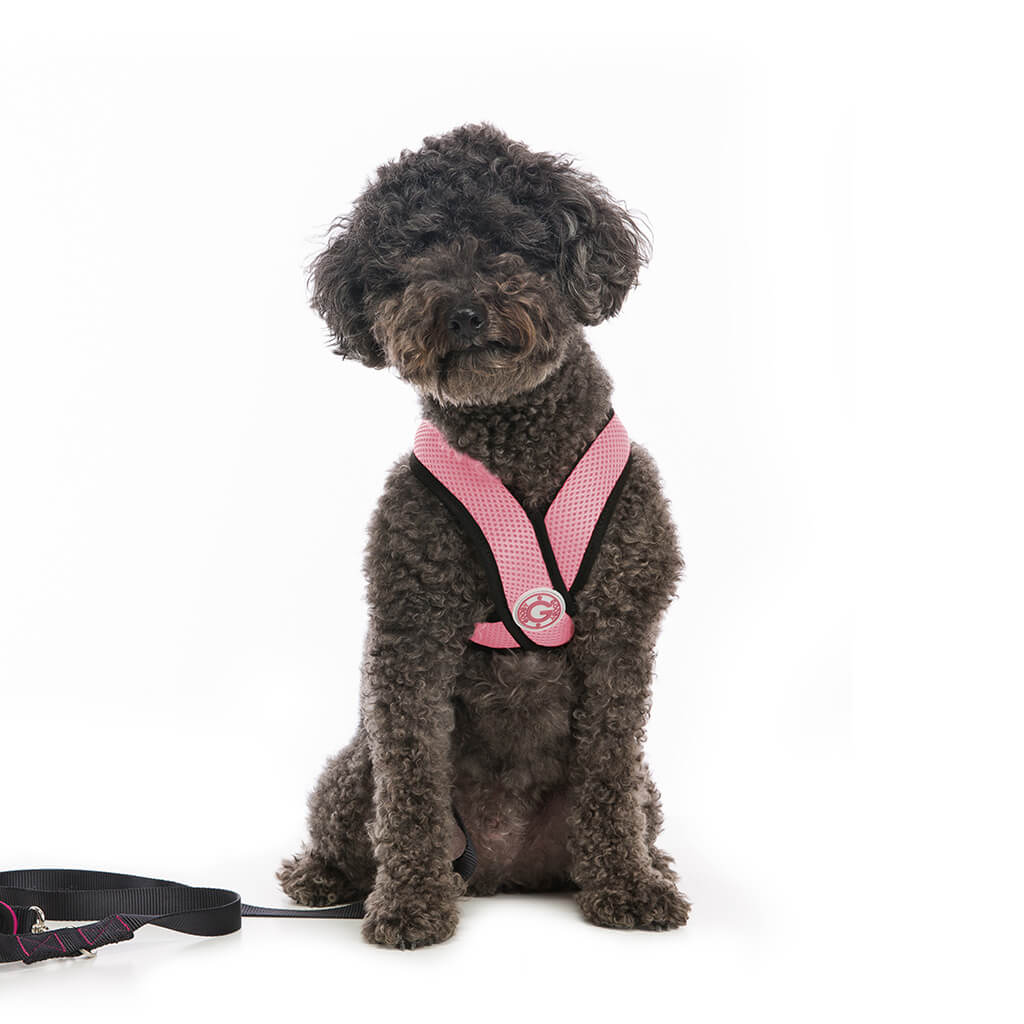 Comfort X Harness from Gooby