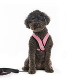 Comfort X Harness from Gooby