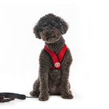 Comfort X Harness from Gooby