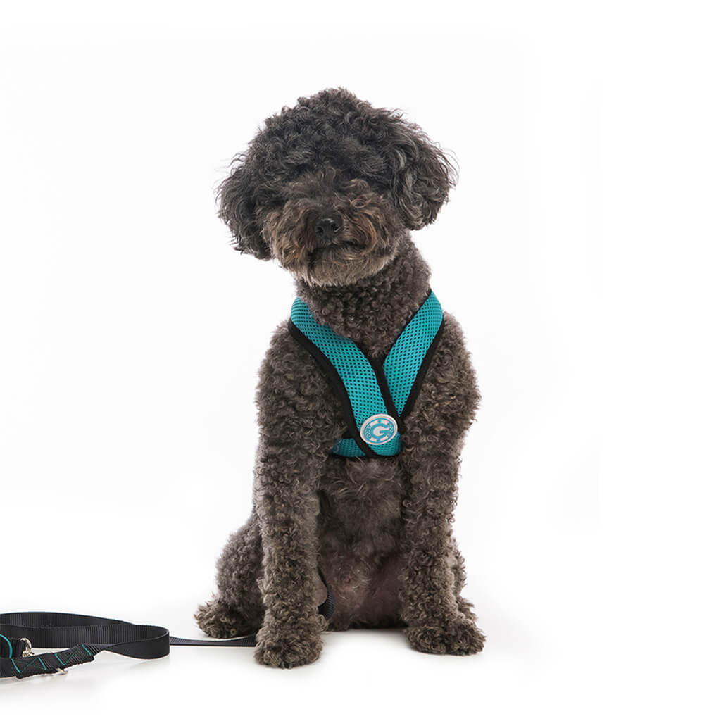 Comfort X Harness from Gooby