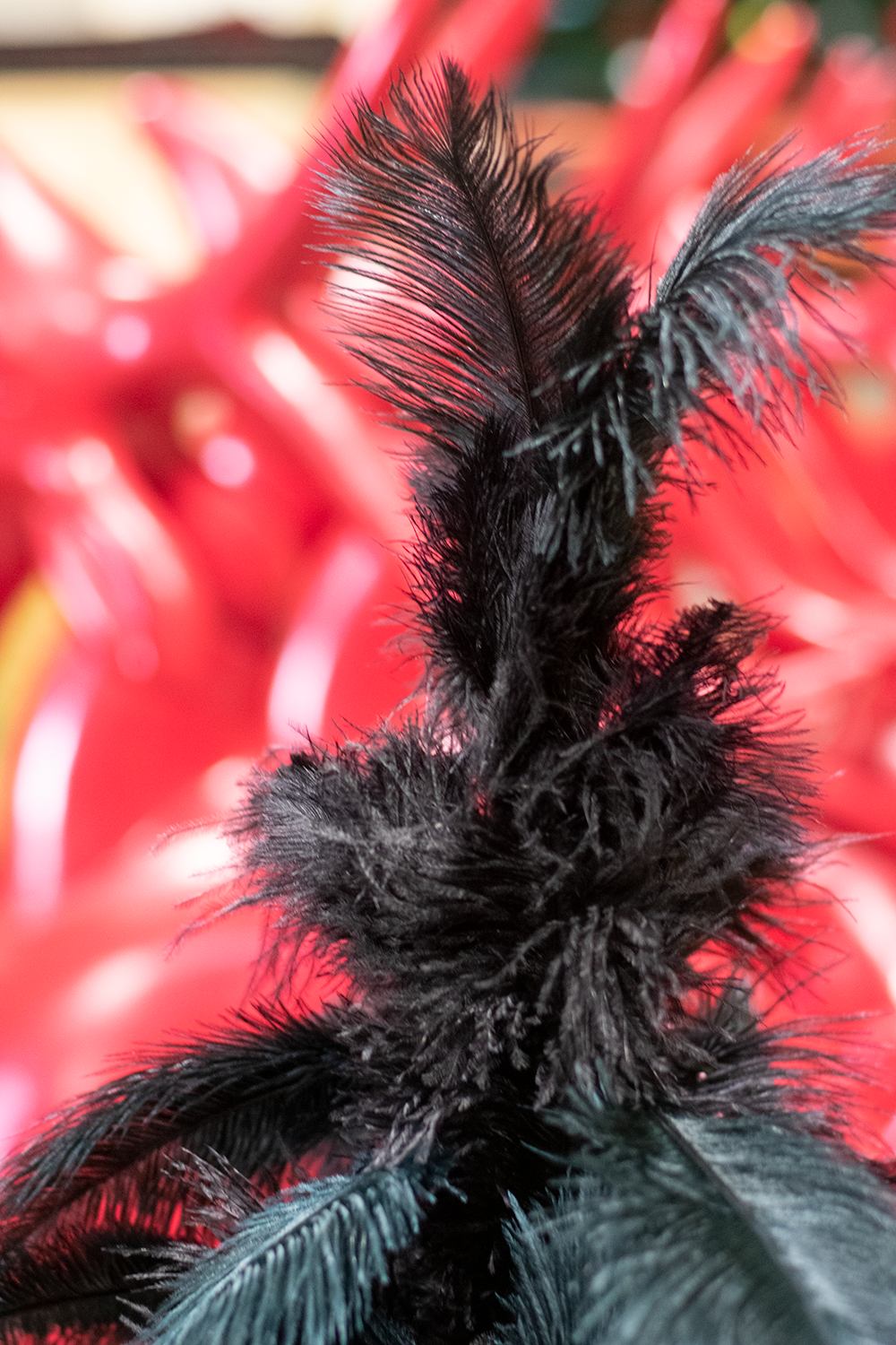 Black Ostrich Feather Tree from Lee Display