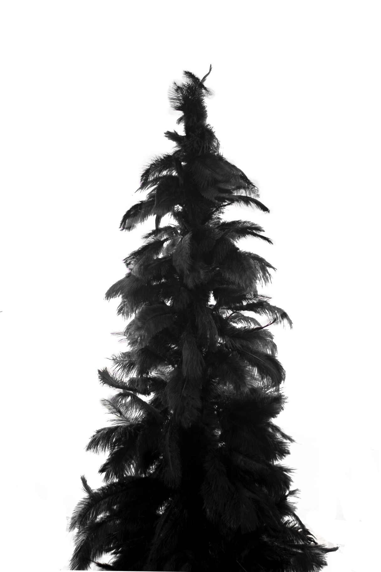 Black Ostrich Feather Tree from Lee Display