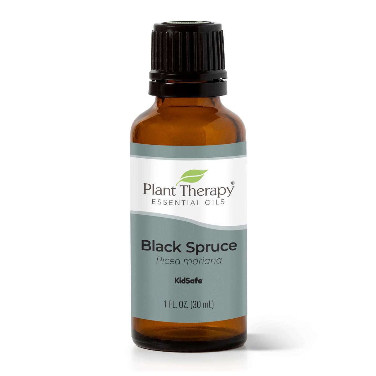 Black Spruce Essential Oil From Plant Therapy