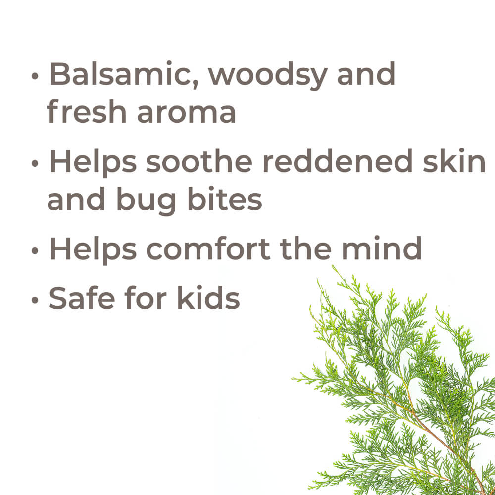 Blue Cypress Essential Oil From Plant Therapy