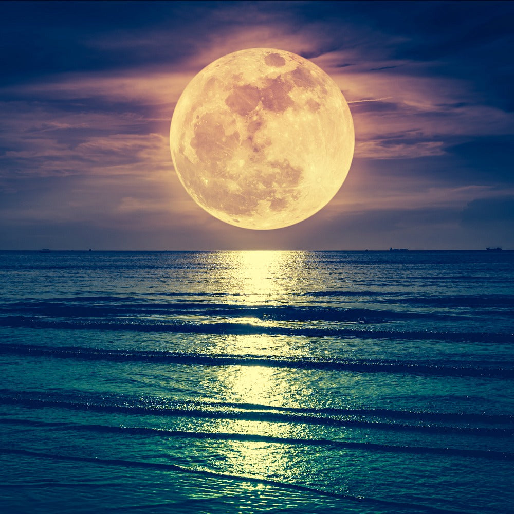 Blue Moon from Wicked Good Perfume