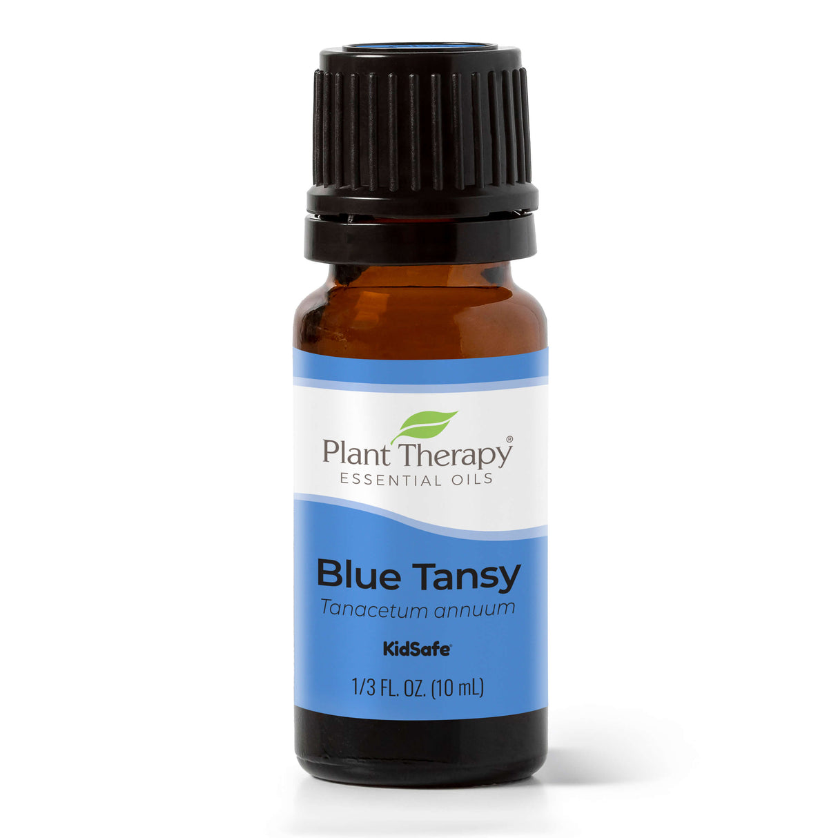 Blue Tansy Essential Oil From Plant Therapy