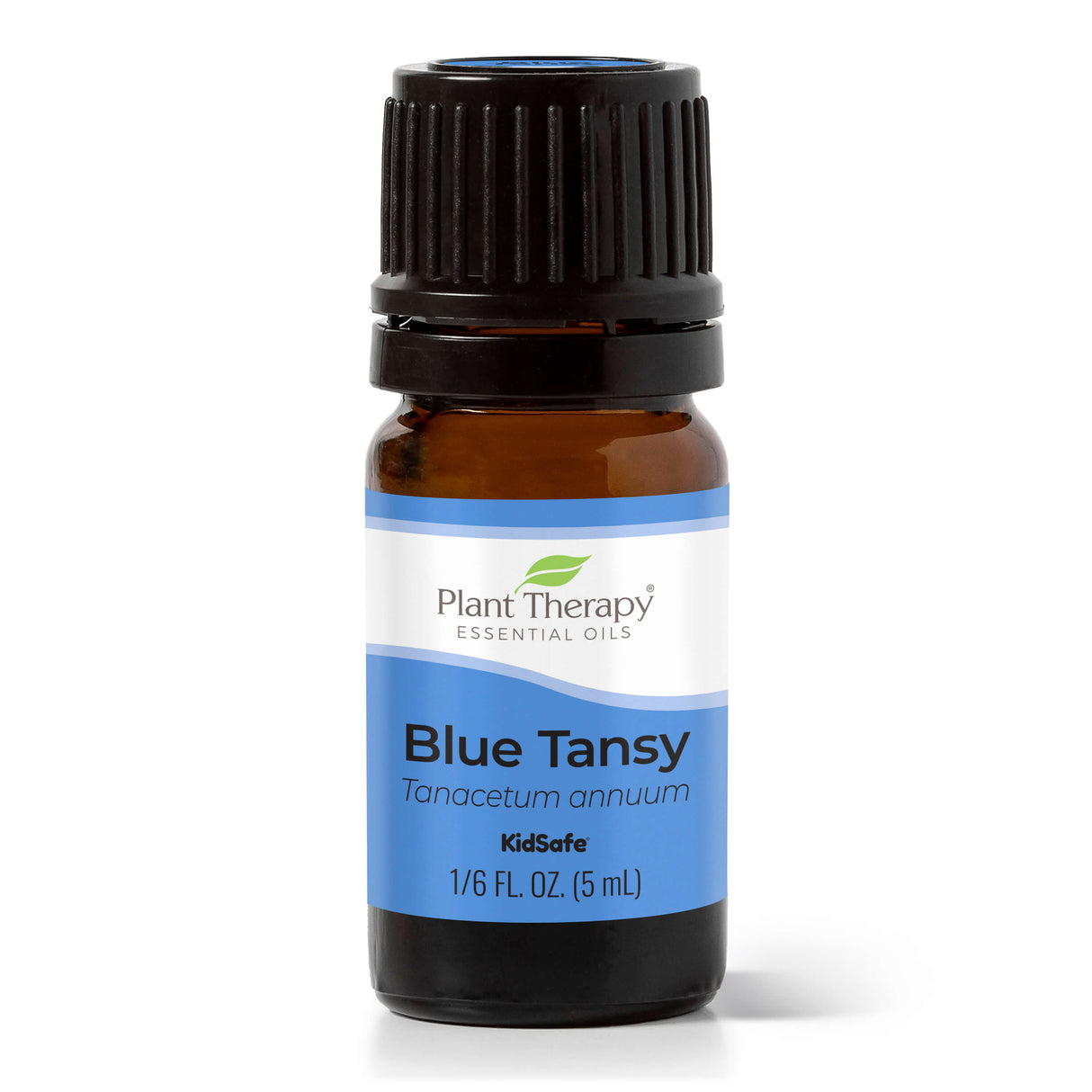 Blue Tansy Essential Oil From Plant Therapy