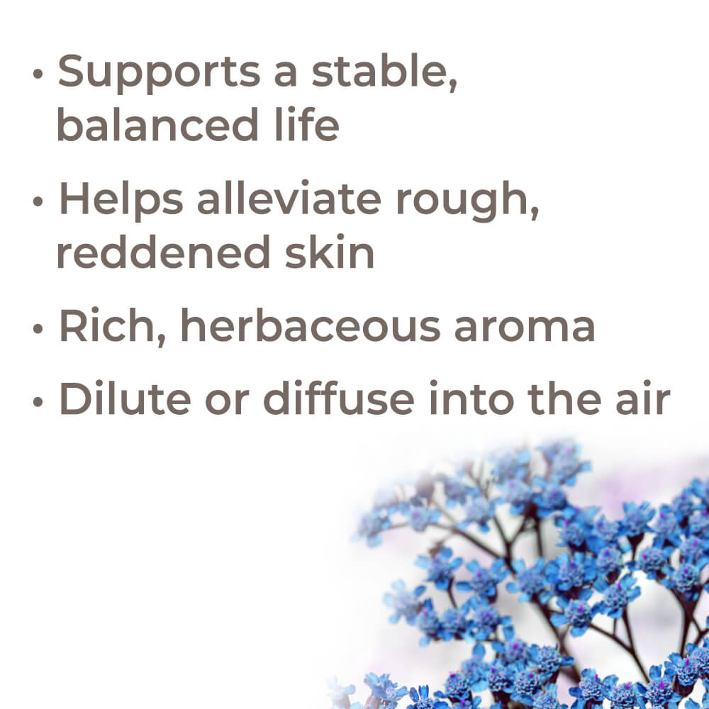 Organic Blue Yarrow Essential Oil from Plant Therapy