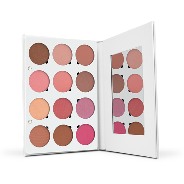 Pro Palette - Blush From Ofra Cosmetics