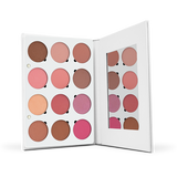 Pro Palette - Blush From Ofra Cosmetics